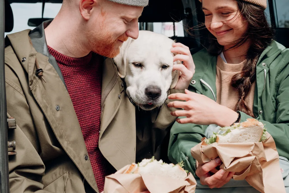 Two people sharing a lunch break with a dog between them